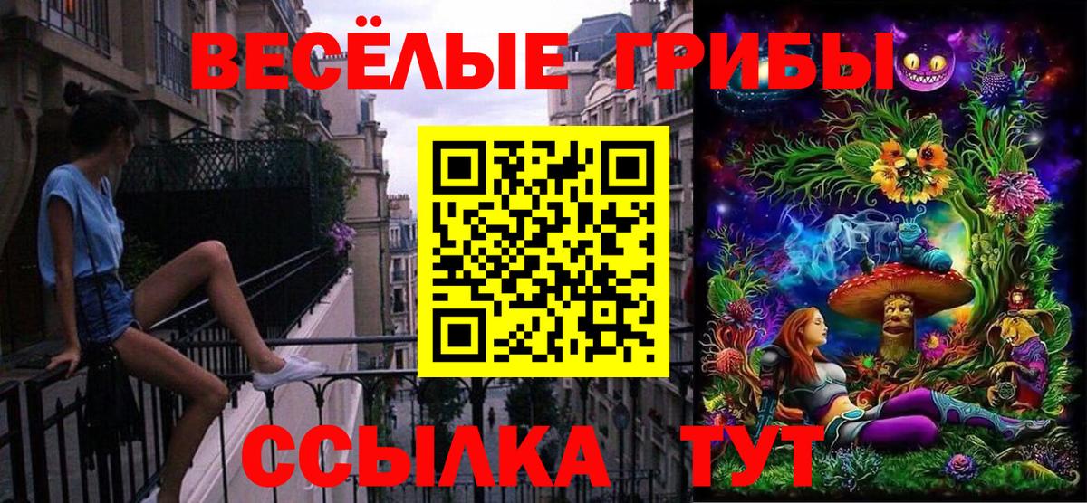 Янаул  Псилоцибиновые грибы прущие грибы  продажа наркотиков  Вход с VPN 